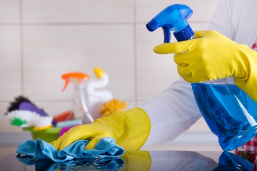 Carpet cleaning for pet stain odour removal in Gants Hill