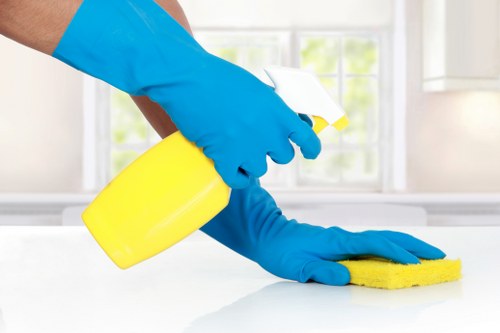 Detailed carpet care and fibre-safe cleaning process