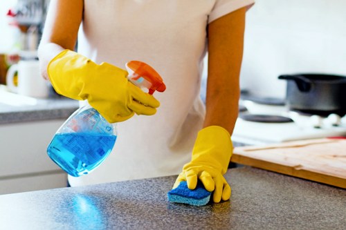 Carpet cleaning team in Gants Hill focusing on recycling and sustainability