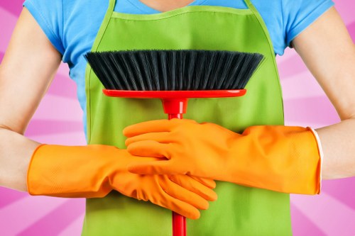 Professional deep cleaning equipment removing pet odours