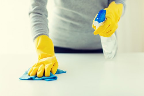 Trained carpet cleaner applying safe techniques on carpet