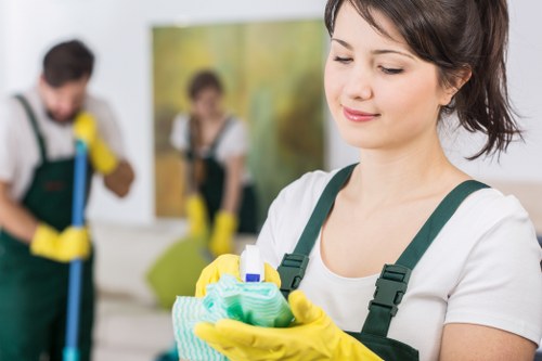 Reviewing a carpet cleaning complaint and service details