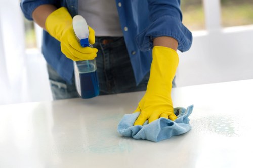 Safe checkout features for carpet cleaner payments