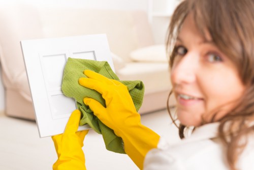 Cleaning process in progress on a domestic carpeted floor